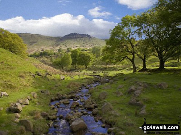 Walk gm134 Stable Stones Brow (Hoarstone Edge) and Alphin Pike from Dove Stone Reservoir, Greenfield - Chew Brook with Hoarstone Edge beyond from Dove Stone Reservoir