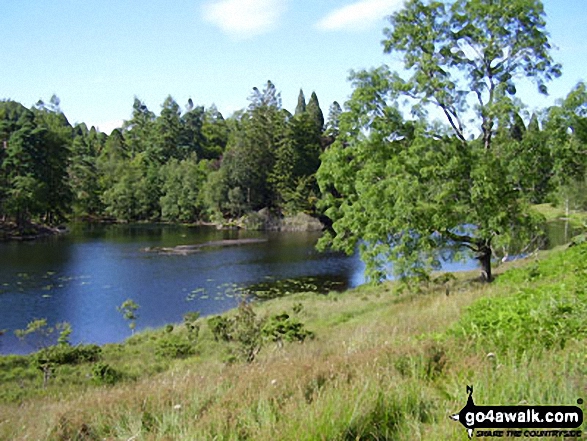 Walk c353 Holme Fell, Black Fell (Black Crag) and Tarn Hows from Tom Gill - Tarn Hows