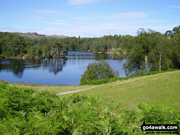 Walk c121 Tarn Hows and Yew Tree Tarn from Tom Gill - Tarn Hows