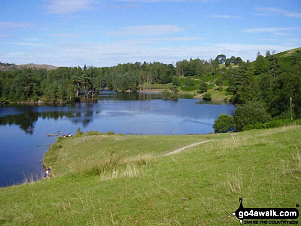 Walk c121 Tarn Hows and Yew Tree Tarn from Tom Gill - Tarn Hows