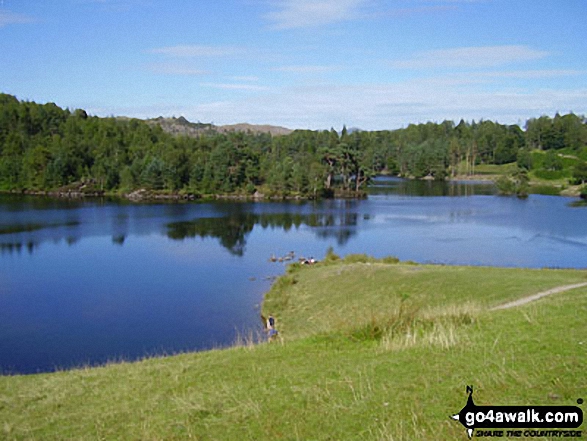 Walk c121 Tarn Hows and Yew Tree Tarn from Tom Gill - Tarn Hows