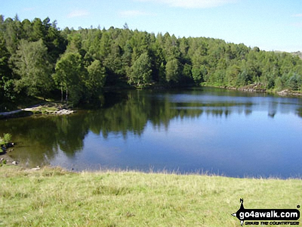 Walk c229 Tarn Hows, Oxen Fell High Cross and Low Tilberthwaite from Tarn Hows - Tarn Hows