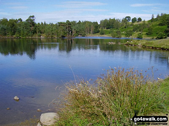 Walk c229 Tarn Hows, Oxen Fell High Cross and Low Tilberthwaite from Tarn Hows - Tarn Hows