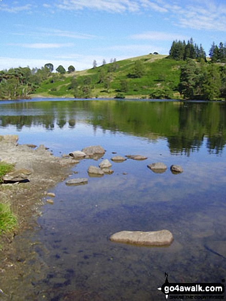 Walk c121 Tarn Hows and Yew Tree Tarn from Tom Gill - Tarn Hows