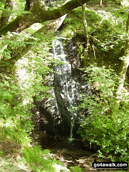 Walk c121 Tarn Hows and Yew Tree Tarn from Tom Gill - Tom Gill Waterfall, Tarn Hows