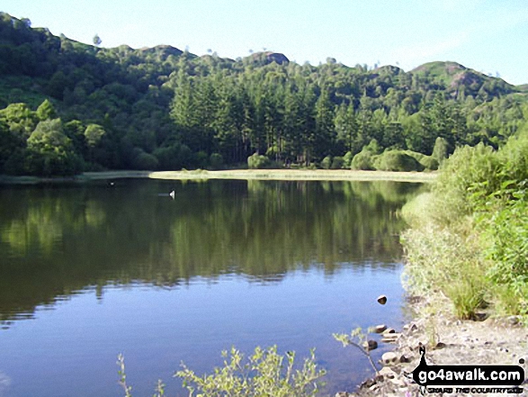 Walk c121 Tarn Hows and Yew Tree Tarn from Tom Gill - Tarn Hows