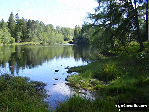 Walk c121 Tarn Hows and Yew Tree Tarn from Tom Gill - Tarn Hows