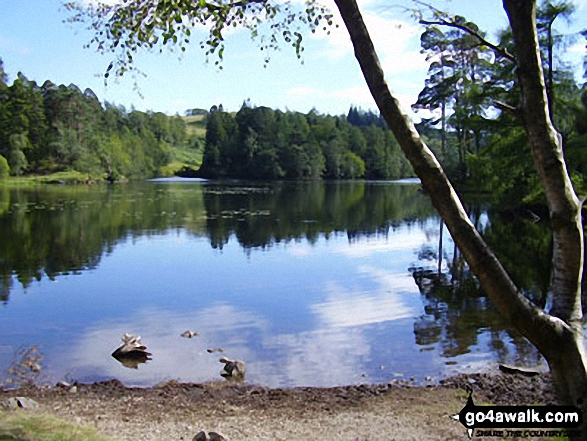 Walk c121 Tarn Hows and Yew Tree Tarn from Tom Gill - Tarn Hows