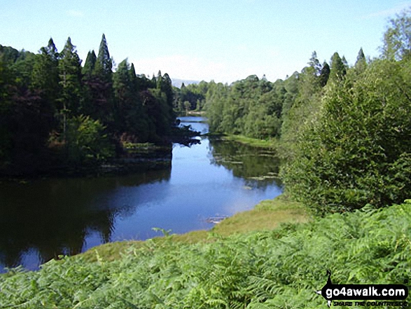 Walk c121 Tarn Hows and Yew Tree Tarn from Tom Gill - Tarn Hows