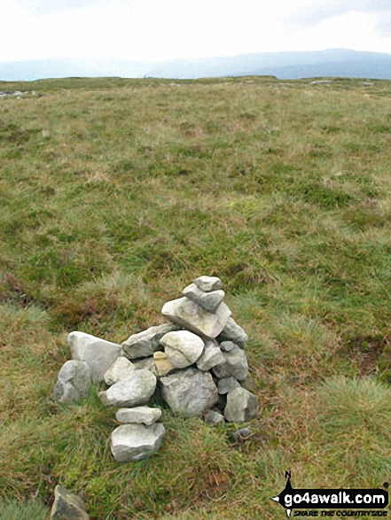 Walk ny103 Rogan's Seat and Water Crag (Arkengarthdale) from Keld - Rogan's Seat Summit Cairn