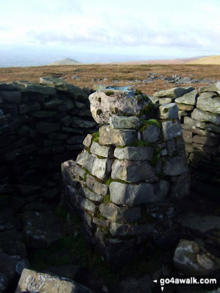 Walk c407 Little Fell (Burton Fell), Mickle Fell and Murton Fell from Hilton - Little Fell (Burton Fell) trig point