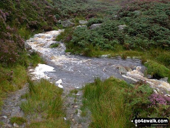 Nant y Coed in spate on the lower slopes Carnedd y Filiast (Arenigs) Unable to cross, we followed the stream up very rough ground until we could cross it on the ridge