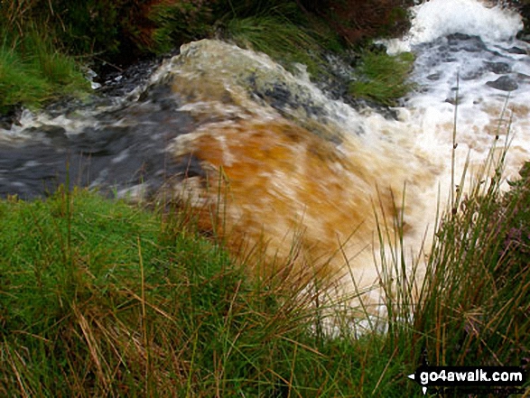 Nant y Coed in spate on the lower slopes Carnedd y Filiast (Arenigs)