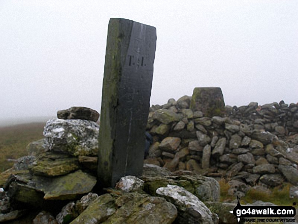 Walk gw182 Carnedd y Filiast (Arenigs) and Foel-boeth from Llyn Celyn - Carnedd y Filiast (Arenigs) summit