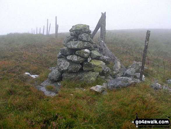 Walk gw182 Carnedd y Filiast (Arenigs) and Foel-boeth from Llyn Celyn - Cairn just to the North of the summit of Carnedd Llechwedd-llyfn