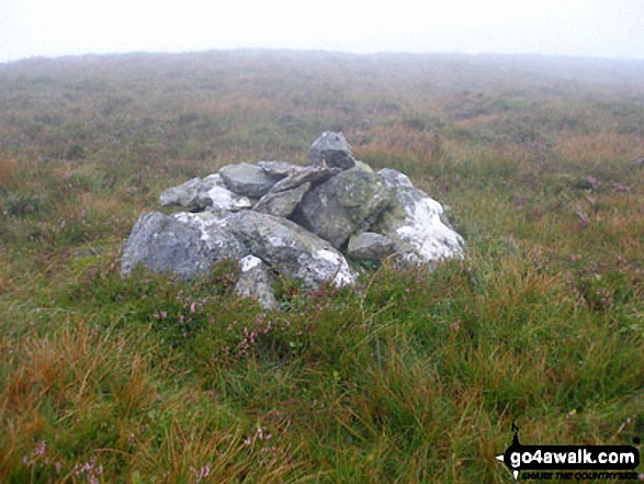 Walk gw182 Carnedd y Filiast (Arenigs) and Foel-boeth from Llyn Celyn - Carnedd Llechwedd-llyfn summit cairn