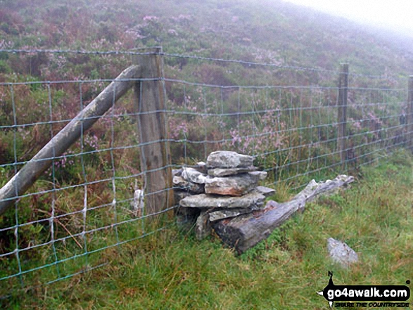 Walk gw182 Carnedd y Filiast (Arenigs) and Foel-boeth from Llyn Celyn - Fence crossing between Llechwedd-llyfn summit cairn and Foel-boeth (Llyn Celyn)