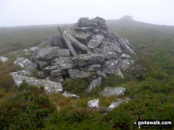 Foel-boeth (Llyn Celyn) Photo by Mark Kissipie