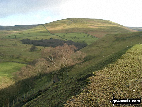 Walk c355 Knock Fell and Knock Pike from Dufton - Brownber Hill from The Pennine Way near Dufton