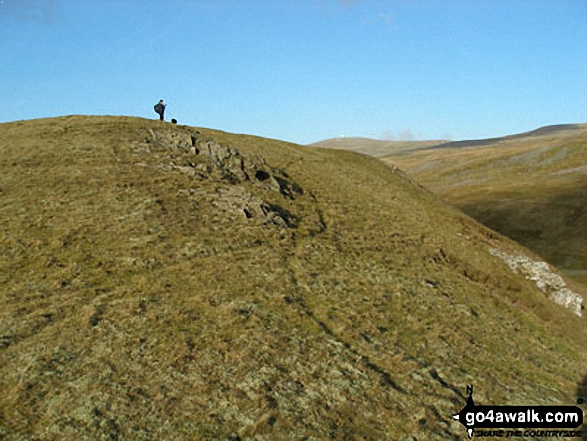 Walk c445 Dufton Pike, Backstone Edge and High Cup Nick from Dufton - Brownber Hill summit