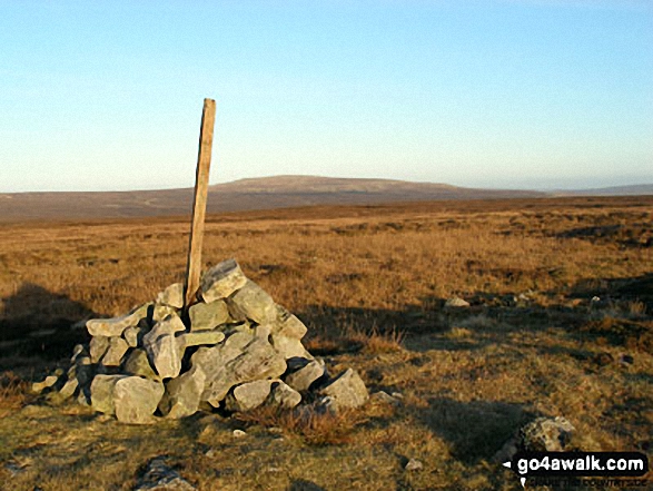 Walk c445 Dufton Pike, Backstone Edge and High Cup Nick from Dufton - Backstone Edge (Dufton Fell) summit