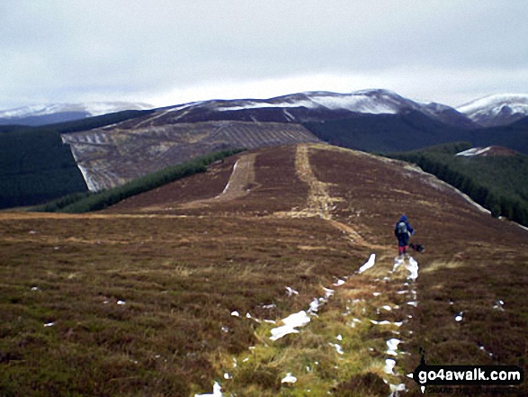 North towards Capel Fell and Bodesbeck Law from Scaw'd Fell