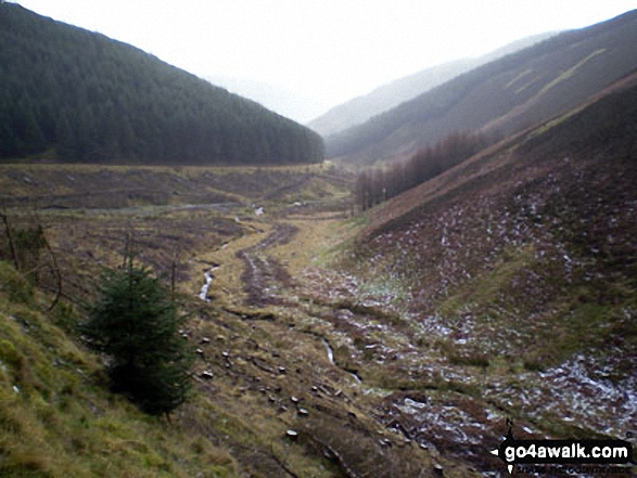 Walk dg157 Scaw'd Fell, Loch Fell and Croft Head from Moffat Dale - The Southern Upland Way through Eskdalemuir