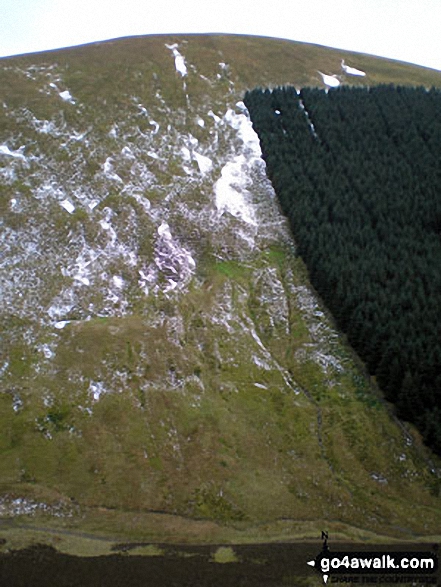 Loch Fell from Croft Head 