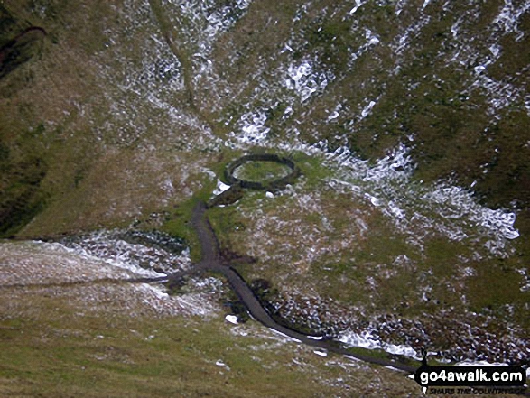 Walk dg157 Scaw'd Fell, Loch Fell and Croft Head from Moffat Dale - Circular Sheep Fold on the lower slopes of Loch Fell from Croft Head