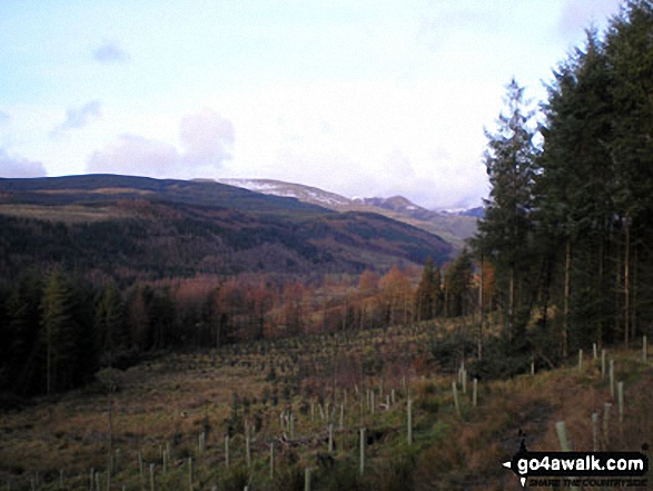 Walk dg157 Scaw'd Fell, Loch Fell and Croft Head from Moffat Dale - Moffat Dale