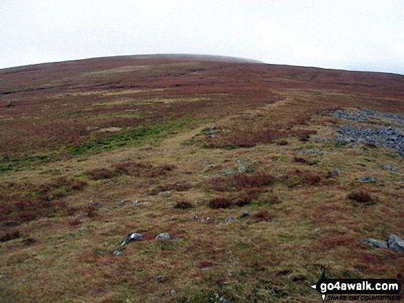 Melmerby Fell from Knapside Hill