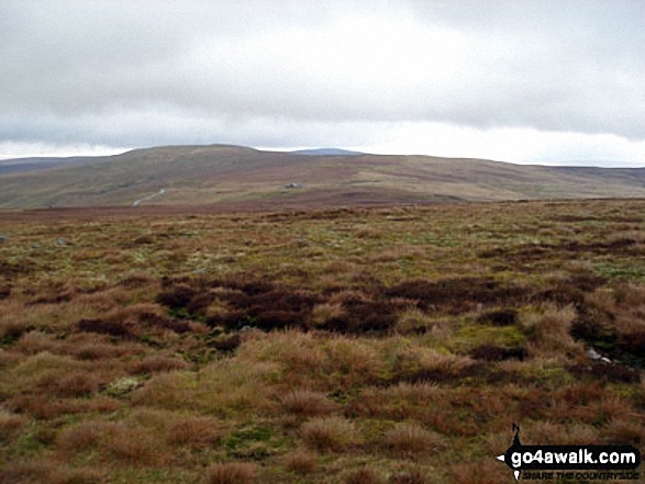 Walk c430 Cuns Fell, Melmerby Fell and Fiend's Fell from Melmerby - Melmerby Fell from Fiend's Fell