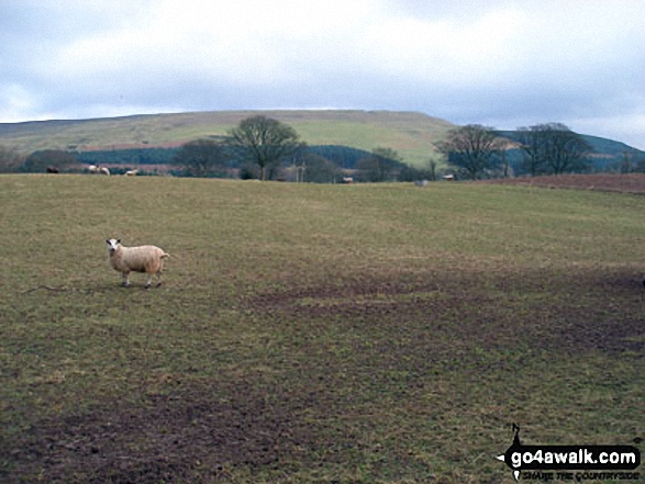 Melmerby Fell from Gamblesby