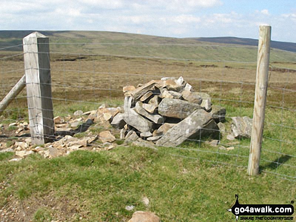 Walk du152 Great Stony Hill and Dead Stones from Burnhope Reservoir - Scaud Hill summit cairn