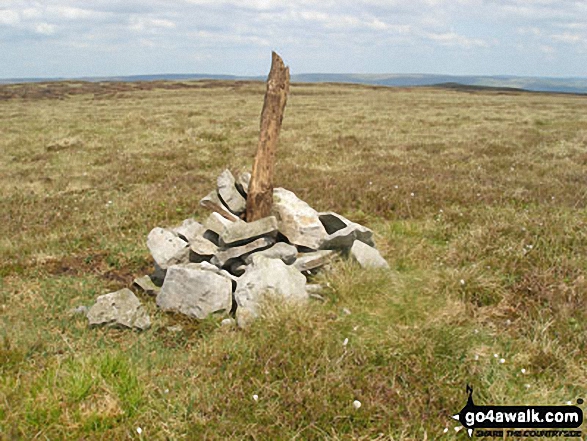 Walk du152 Great Stony Hill and Dead Stones from Burnhope Reservoir - The small cairn on Redgleam (Harwood Common)