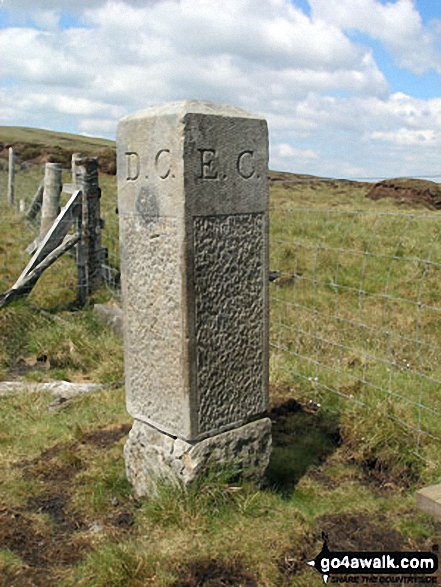 Walk du152 Great Stony Hill and Dead Stones from Burnhope Reservoir - Boundary Stone on Burnhope Seat