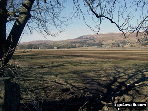 Walk ny114 Addlebrough via Worton Pasture from Askrigg, Wensleydale - Askrigg Bottoms