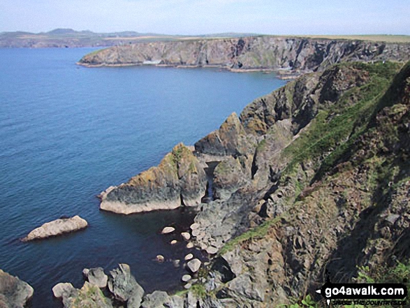 Walk pe119 Pen Dal-aderyn from Porthstinian - The Pembrokeshire Coast Path