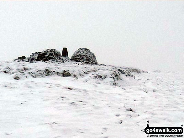 Walk c434 Cold Fell Pike (Geltsdale) and Old Water Bridge from Clesketts - Cold Fell Pike (Geltsdale) summit on the snow