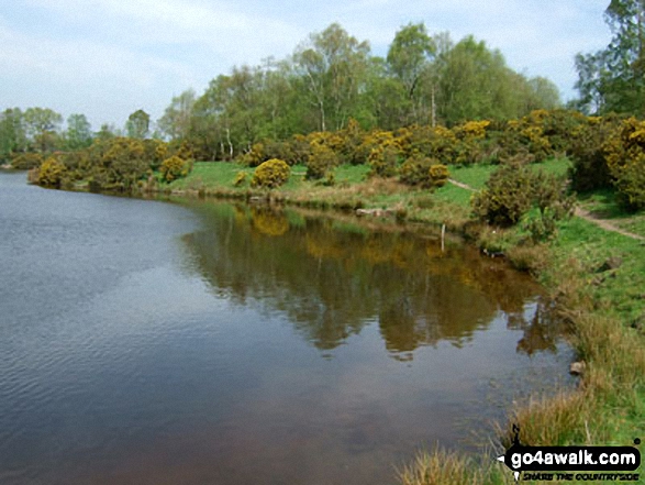 Walk ch123 Knolls Green and Lindow Moss from Lindow Common, Wilmslow - Rossmere