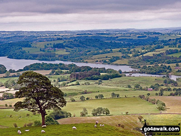 Tittesworth Reservoir from The Roaches It seems that only one sheep is admiring the view!