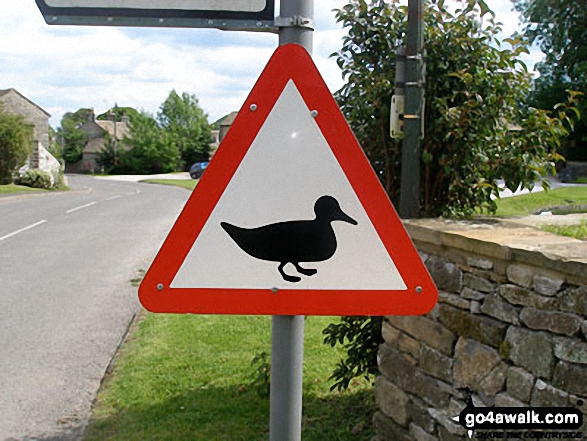 Walk d305 Stoney Middleton, Coombs Dale, Longston Moor, Wardlow Hay Cop and Foolow from Eyam - Beware - Ducks! sign in Foolow