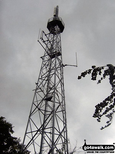 Walk wi132 Crofton and Haw Wood from Great Bedwyn - Telecommunications Mast in Chisbury Wood