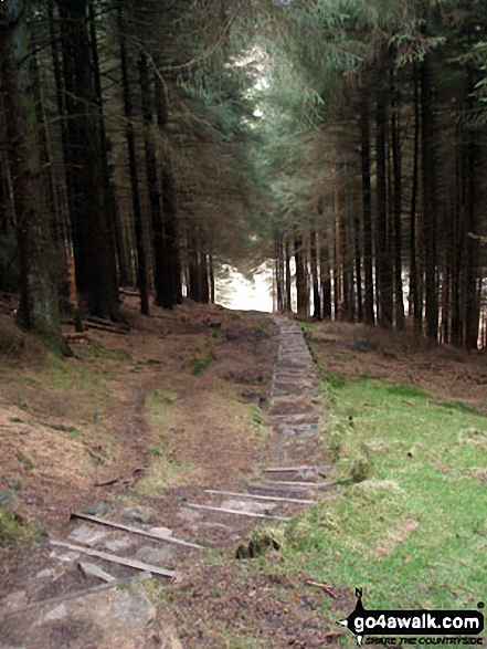 Walk l148 Ogden Reservoir and Fell Wood from Barley - On the Pendle Way in Fell Wood