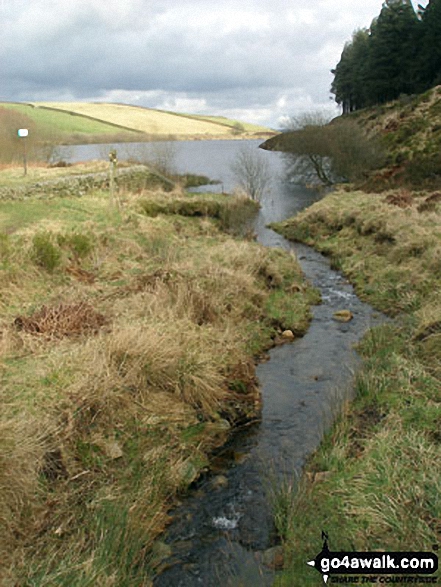 On the Pendle Way  crossing the Inlet stream feeding Lower Ogden Reservoir 