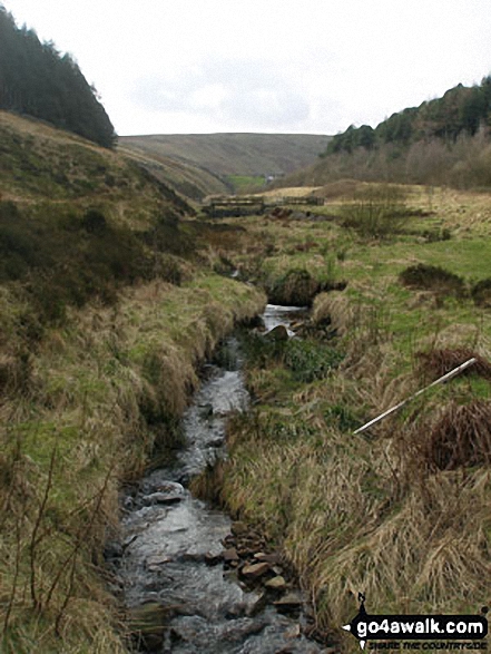 Walk l148 Ogden Reservoir and Fell Wood from Barley - On the Pendle Way  crossing the Inlet stream coming from Upper Ogden Reservoir