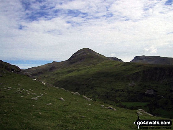 Walk gw224 Cnicht, Hafod-yr-Hydd and Moelwyn Mawr from Croesor - Moelwyn Mawr from the track across Croesor Bach