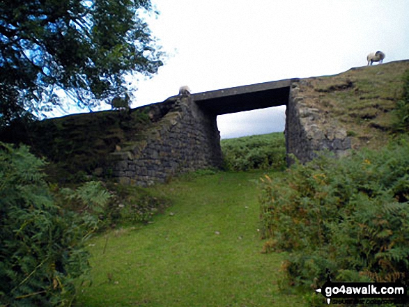 Walk sh115 Titterstone Clee Hill from Dhustone - The Titterstone Incline