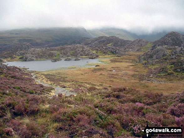 Walk c228 Hay Stacks from Buttermere - Innominate Tarn on Hay Stacks (Haystacks)