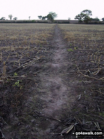 Field path nr Church Minshull 